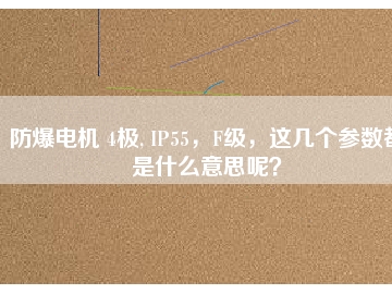 防爆電機(jī) 4極, IP55，F(xiàn)級(jí)，這幾個(gè)參數(shù)都是什么意思呢？