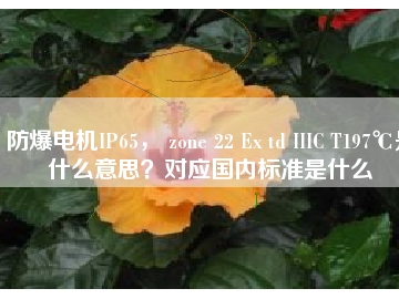 防爆電機(jī)IP65， zone 22 Ex td IIIC T197℃是什么意思？對(duì)應(yīng)國內(nèi)標(biāo)準(zhǔn)是什么