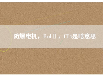 防爆電機(jī)，ExdⅡ，CT4是啥意思