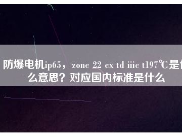 防爆電機(jī)ip65，zone 22 ex td iiic t197℃是什么意思？對(duì)應(yīng)國內(nèi)標(biāo)準(zhǔn)是什么