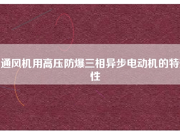 通風(fēng)機(jī)用高壓防爆三相異步電動(dòng)機(jī)的特殊性