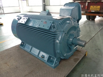 防爆電機(jī)特殊環(huán)境條件代號及防腐代號