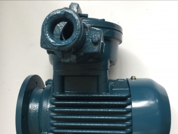 防爆電機(jī)的效率怎么樣？能耗主要在哪里損耗了？