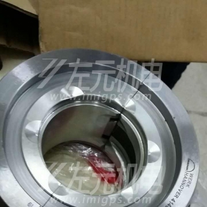 EFZLB 11-110,EFZLB 9-80電機(jī)軸瓦，油封及油環(huán)應(yīng)用于化工行業(yè)電機(jī)