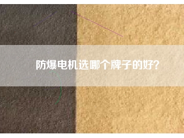 防爆電機(jī)選哪個牌子的好？