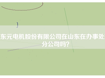 東元電機股份有限公司在山東在辦事處或分公司嗎？