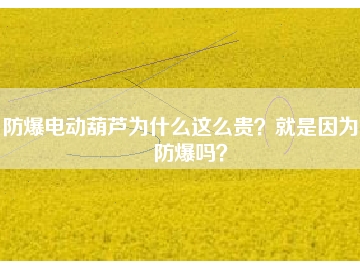 防爆電動葫蘆為什么這么貴？就是因為能防爆嗎？