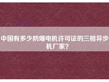 中國(guó)有多少防爆電機(jī)許可證的三相異步電機(jī)廠家？