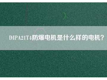 DIPA21T4防爆電機是什么樣的電機？