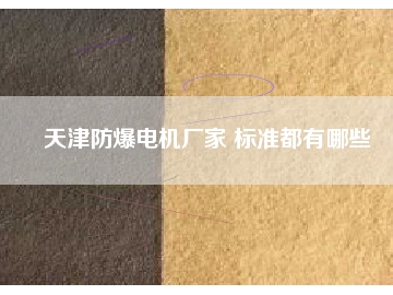 天津防爆電機廠家 標(biāo)準都有哪些