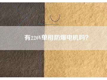 有220V單相防爆電機(jī)嗎？