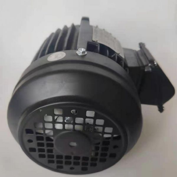 永磁電機 DVEX  75KW  3000RPM  F#200L IE4效率電機