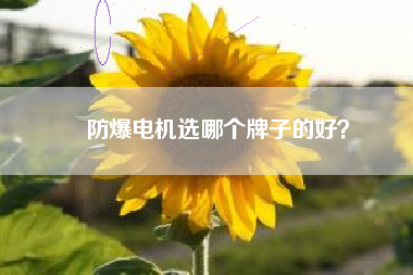防爆電機(jī)選哪個牌子的好？