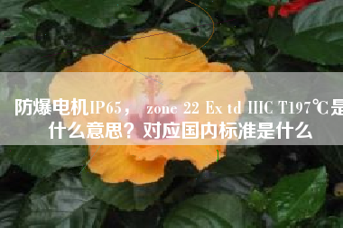 防爆電機IP65， zone 22 Ex td IIIC T197℃是什么意思？對應國內標準是什么