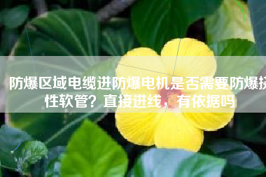 防爆區(qū)域電纜進(jìn)防爆電機(jī)是否需要防爆撓性軟管？直接進(jìn)線，有依據(jù)嗎