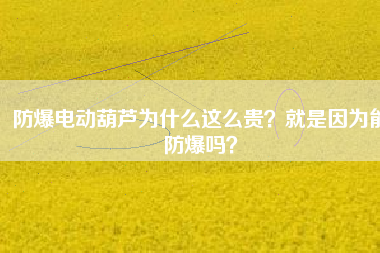 防爆電動(dòng)葫蘆為什么這么貴？就是因?yàn)槟芊辣瑔幔? title=