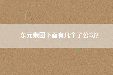 東元集團(tuán)下面有幾個子公司？