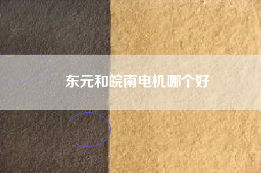 東元和皖南電機哪個好