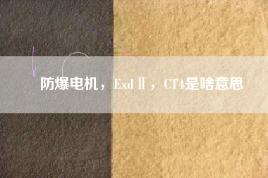 防爆電機(jī)，ExdⅡ，CT4是啥意思