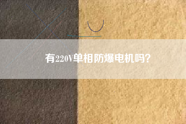 有220V單相防爆電機嗎？