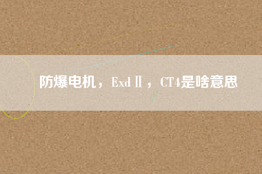 防爆電機，ExdⅡ，CT4是啥意思